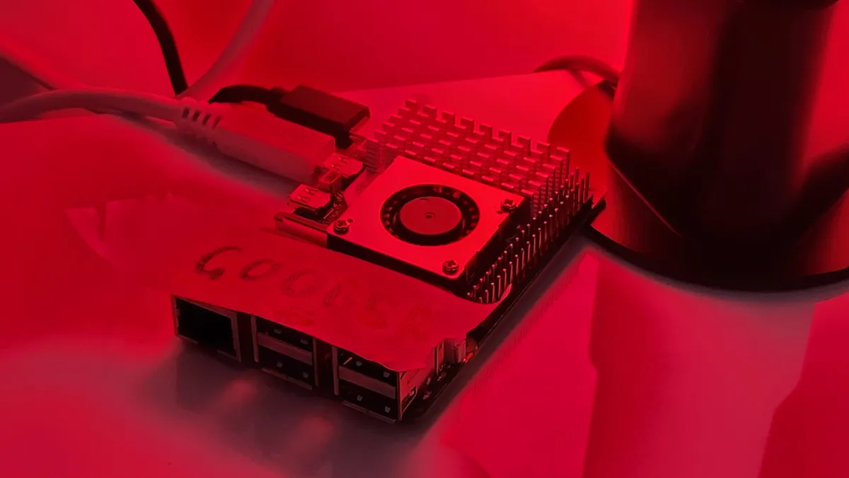 The Hacker Zoo: Letting the internet at a real server